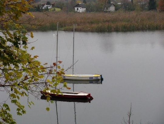 Malbork w Pętli Żuław