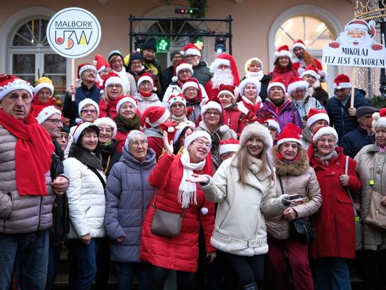 Malborskie Mikołajki. Miejska choinka już rozświetlona