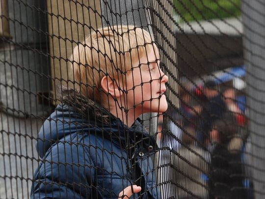 Mali naciągacze na starówce. „Da pani wafelka, da pan trochę frytek”