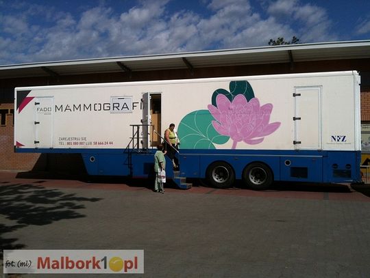 Mammobus 6 marca