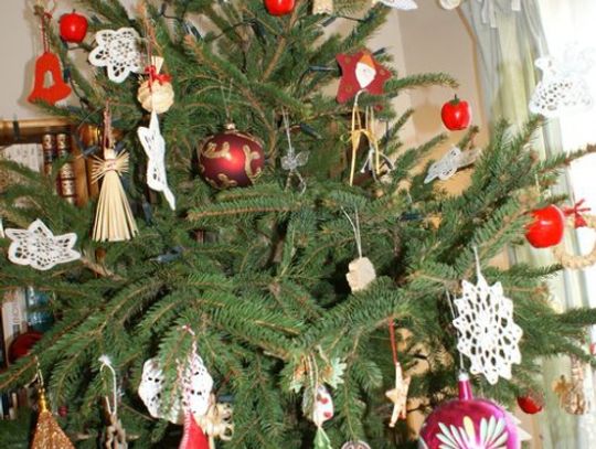 Mandat 500 zł za wyrzucenie choinki na śmietnik