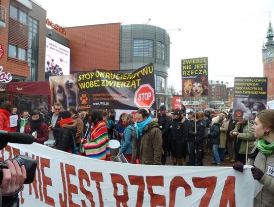 Marsz (nie) milczenia. STOP PRZEMOCY WOBEC ZWIERZĄT