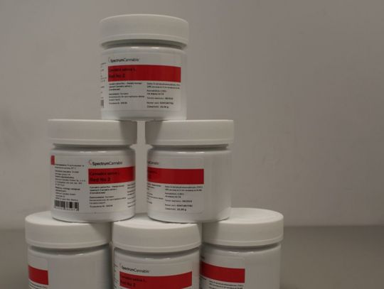Medyczna marihuana już dostępna w Tczewie. Pierwszych 500 opakowań sprzedano w... 2 godz.