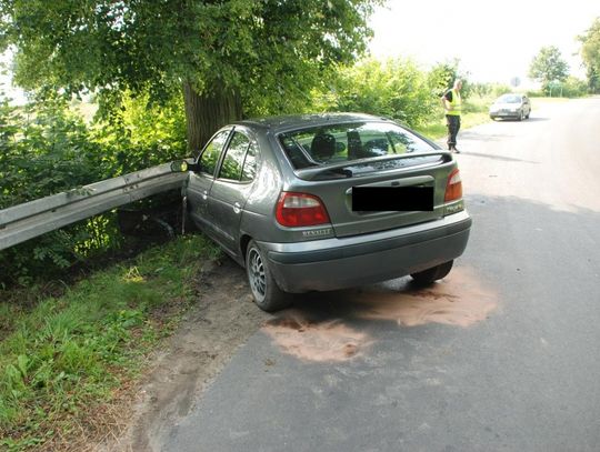 Meganka wbiła się w drzewo