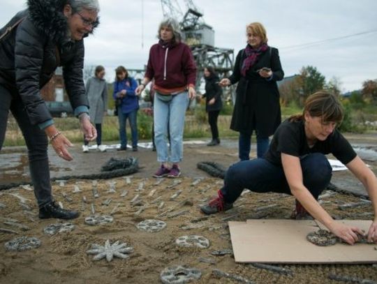 Miasto naszych marzeń: Natura Stoczni/ Dzika zieleń
