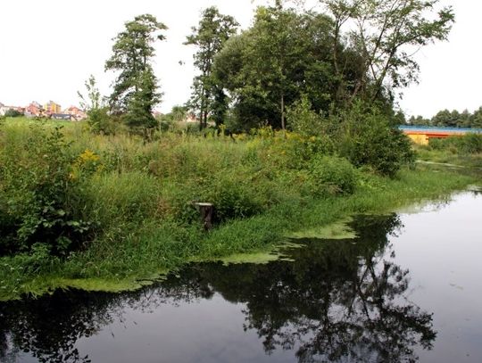 Miasto nie rezygnuje z utworzenia zalewu