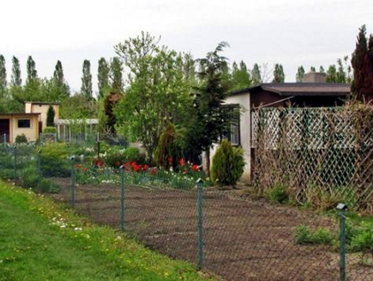 Miasto posprząta ogrody działkowe