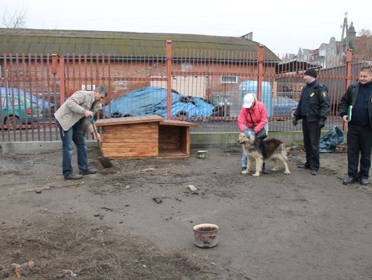 Miesiące dobroci dla zwierząt