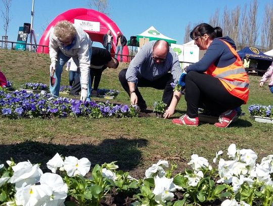 Mieszkańcy Południa porządkowali okolicę