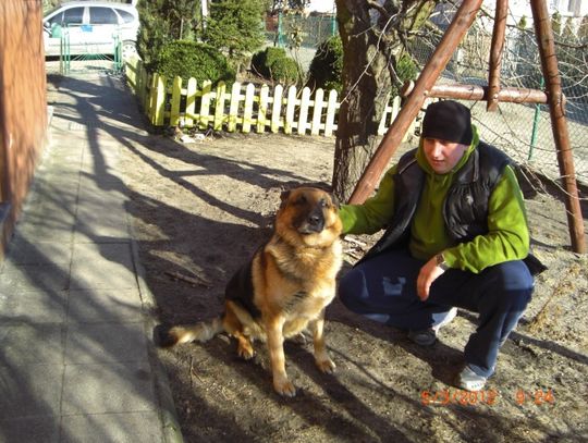 Minister zalecił usypiać psy. Marny koniec służby