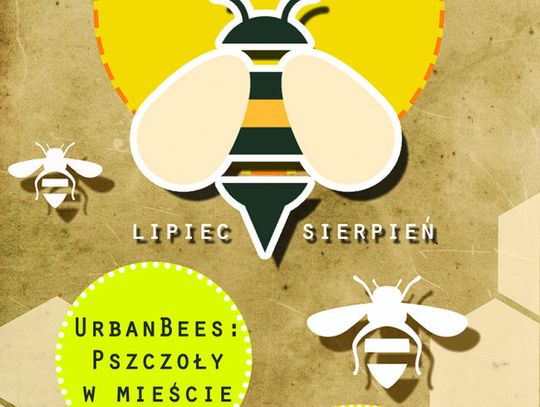 Miodowe wakacje – wystawa „Urbanbees: Pszczoły w mieście”