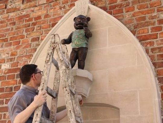 Miś Maciuś prawowitym gniewianinem  