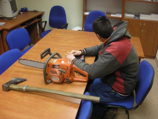 Młodzi "drwale". Nielegalna wycinka drzewa 