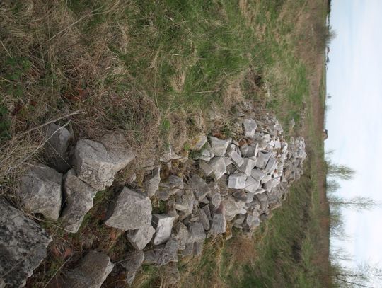 Mobilna kamera namierzy śmiecących wandali?