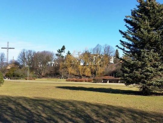 Modernizacja parku na Kamiennej Górze i pożegnanie Shreka