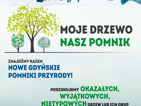 Moje drzewo – nasz pomnik. Szukamy nowych pomników przyrody