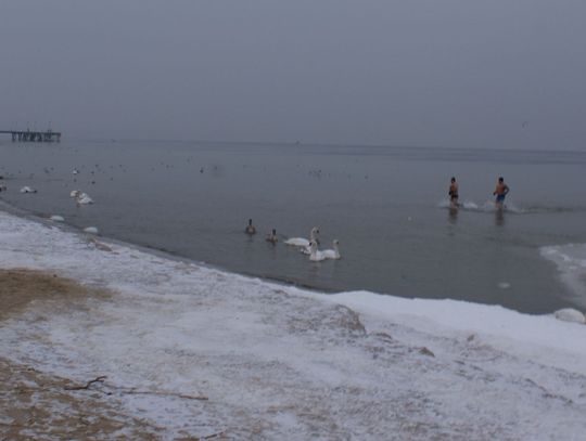 Morsy gdańskie, minus 10 - dla zdrowia do lodowatego Bałtyku