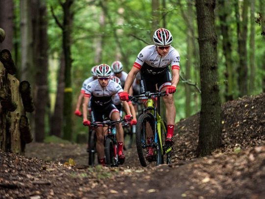 MTB Gdynia Maraton po leśnych drogach Trójmiejskiego Parku Krajobrazowego