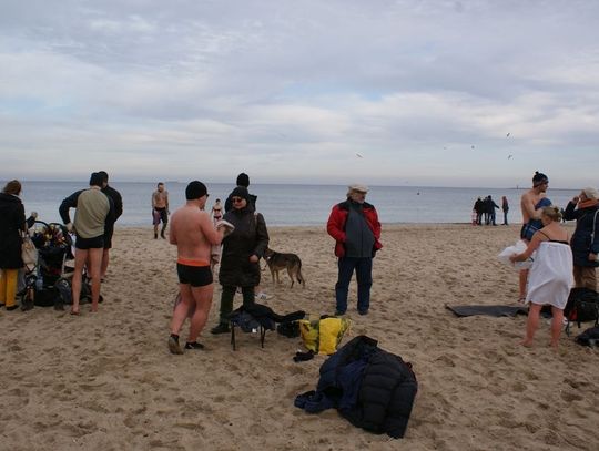 My się zimna nie boimy. Morsy w Brzeźnie