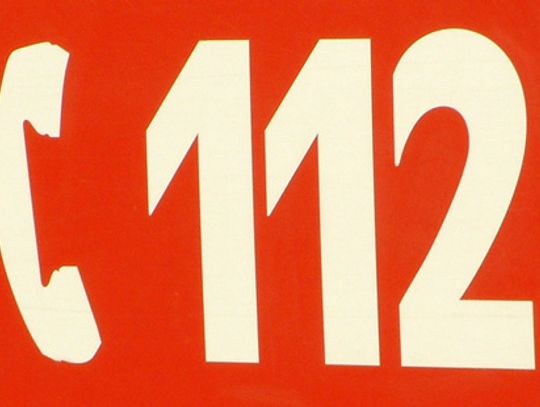 Na berlince drzewo runęło na volkswagena