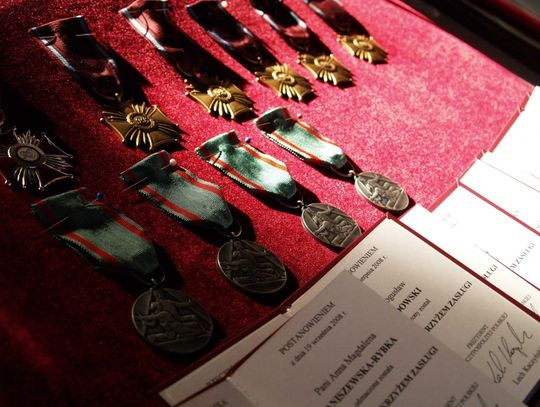 Na Biskupiej Górze. Odprawa z odznaczeniami, medalami i nagrodami dla niebieskich