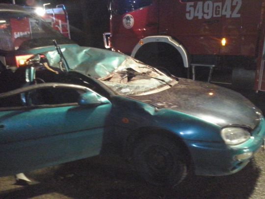 Na &quot;jedynce&quot; drzewo spadło na samochód. Jedna osoba ranna