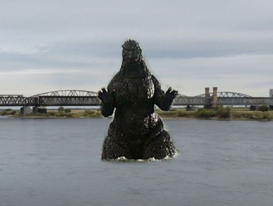 Na luzie: Godzilla opanowała Tczew!