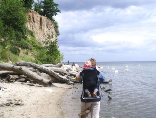 Na plażę bez psa. 500 zł mandatu za czworonożnego przyjaciela