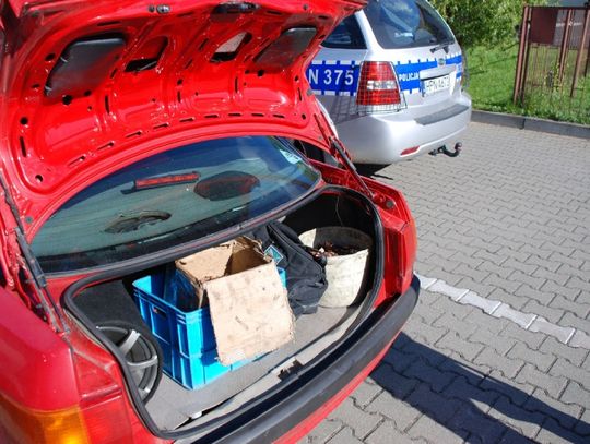 Na podwójnej ciągłej z miedzianym łupem