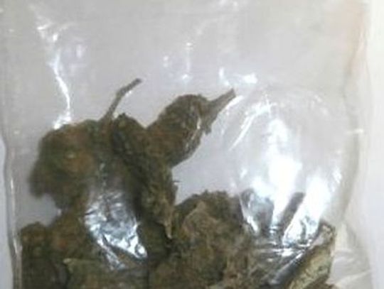 Na tropie dilera z Damnicy