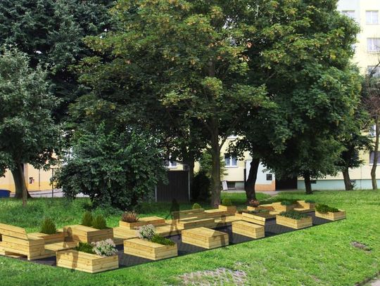 Na Witominie powstanie Miejski Ogród