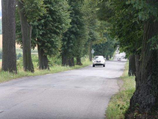 Nadal nie ma zgody na wycięcie drzew