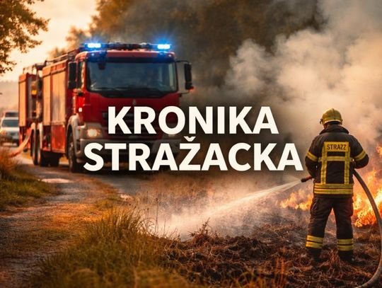 Nadeszła wiosna, a z nią plaga wypalania traw. Pożar mieszkania i warsztatu samochodowego