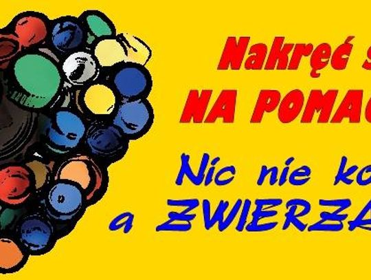 Nakręć się na pomaganie - zbiórka nakrętek, płyt CD i DVD na rzecz starogardzkiego Schroniska!