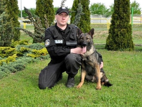 Narkotyki na prywatnej posesji - 34-latek zatrzymany