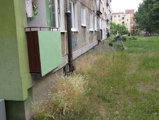 "Nasz blok straszy wyglądem". Mieszkańcy narzekają na wilgoć i zagrzybienie