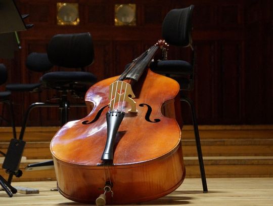 NASZ PATRONAT: IX Pomorskie Dni Kontrabasowe