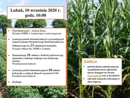 Nasz patronat. Święto ziemniaka i kukurydzy w Lubaniu