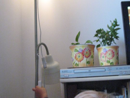 Nasze postanowienia dla natury