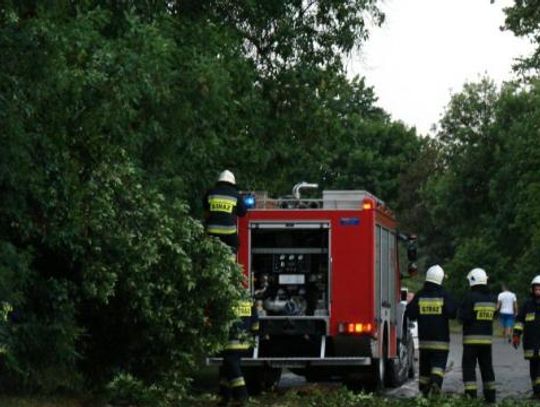 Nawałnica przeszła nad powiatem starogardzkim. Strażacy interweniowali aż 37 razy!