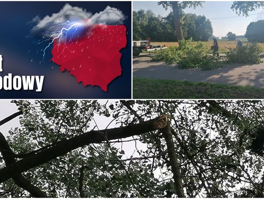 Nawałnice przeszły przez Sztum: powalone drzewa i zerwana linia energetyczna! Drzewo przygniotło dach auta... Groźna kolizja i pożar lokomotywy. KRONIKA STRAŻACKA 7-16.07.2021