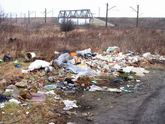 NIE DAJMY SIE ZAFOLIOWAĆ! Co zamiast „wiecznych” foliówek 