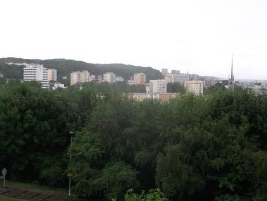 „Nie” dla cyrków w Gdyni