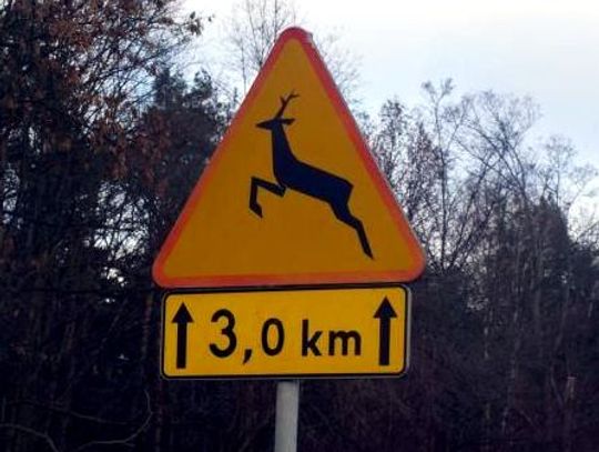 Nie maleje poziom dewastacji