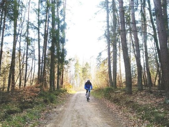 Nie masz pomysłu na majówkę w pandemii? Pomorskie szlaki piesze i rowerowe czekają 