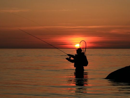 Nie tylko dobra wędka! Jakie akcesoria wędkarskie warto kupić?