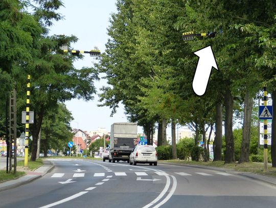 Nie widzą świateł przez gałęzie drzewa