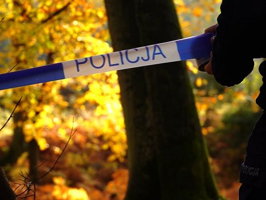 Nie wszystko, co znajdziesz w lesie, jest bezpieczne