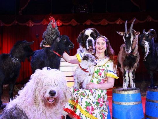 (NIEAKTUALNE) Bilety do CYRKU za darmo! Kto pierwszy, ten lepszy!