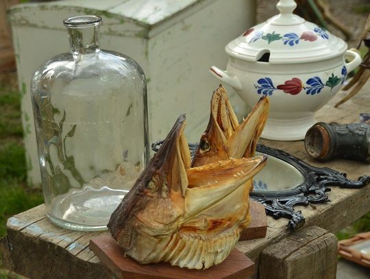 Niektórzy mieszkańcy Tczewa chcą powrotu autobusów na giełdę w Pruszczu. Realne?